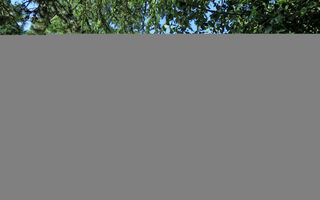 Náhled objektu Agriturismo La Capraccia, Lago di Bolsena