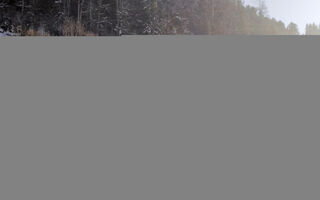 Náhled objektu Gitti, Mayrhofen