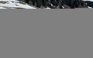 Náhled objektu Selina, Kappl