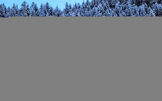 Náhled objektu Chalet Sofie, Ischgl