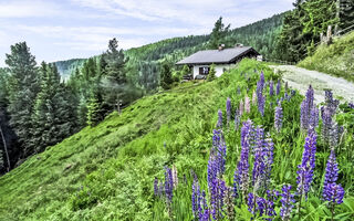 Náhled objektu Lotte, Hochrindl