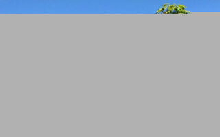 Náhled objektu Dům Alpina, Schladming