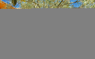 Náhled objektu Objekt FR9210.608, Porto Vecchio