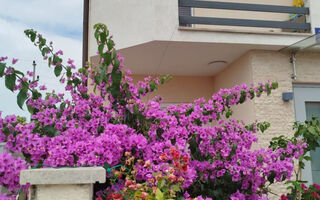 Náhled objektu Apartmán Smokvica, Savudrija