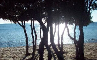 Náhled objektu Anna, Nova Vas