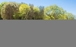 Náhled objektu La Mer, Pula