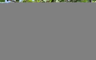 Náhled objektu Wohnung Mandic, Pula