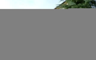 Náhled objektu Objekt HR2620.648, Banjole