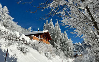 Náhled objektu Chalet les Pars, Gryon / Barboleusaz
