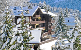 Náhled objektu Regina C, Villars-sur-Ollon