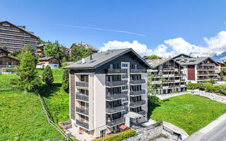 Náhled objektu Objekt CH1961.451, Nendaz