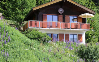 Náhled objektu Brunnquell, Bettmeralp