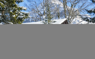 Náhled objektu Chalet Hobelbank, Grindelwald