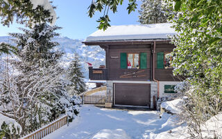 Náhled objektu Chalet Tannengüetli, Grindelwald