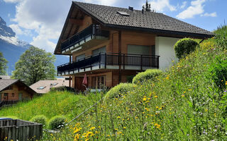 Náhled objektu Steinbilla, Grindelwald
