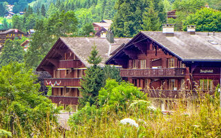 Náhled objektu Bergkristall, Wengen