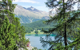 Náhled objektu Chesa Cripels I, St. Moritz
