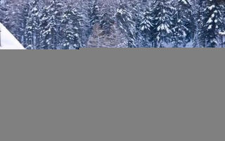 Náhled objektu Chesa la Furia WHG 24, Pontresina