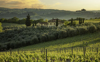 Náhled objektu Podere San Michele, San Gimignano