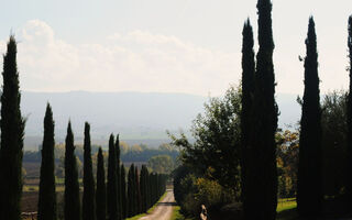 Náhled objektu Objekt IT5509.643, Castiglione del Lago