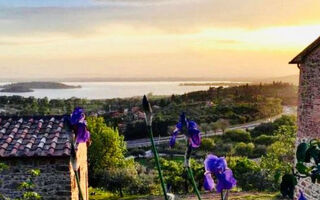 Náhled objektu Renovierte Wohnung, Passignano sul Trasimeno
