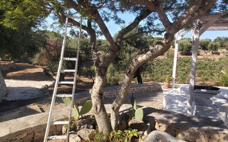 Náhled objektu Vila Valle degli Ulivi, Ostuni