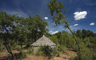 Náhled objektu Vila 1318-1318/1108, Vodnjan