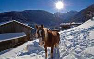 Náhled objektu Familienhotel Villa Flora - inkl. 3-Tages Skipass, Velden am Wörthersee