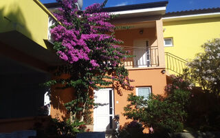 Náhled objektu Apartmány 1355-5522, Petrčane