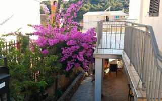 Náhled objektu Apartmány 3298-7266, Šibenik
