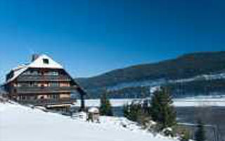 Náhled objektu Appartementhaus Hotel Alemannenhof, Titisee-Neustadt