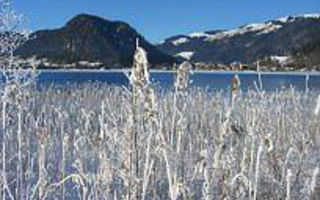 Náhled objektu Hotel Walchsee, Walchsee im Kaiserwinkl