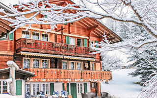 Náhled objektu Chalet Jrene, Grindelwald