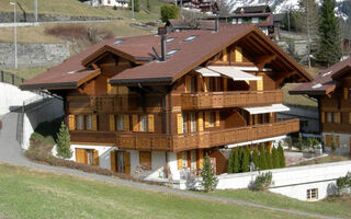 Náhled objektu Chalet Chamonix, Grindelwald