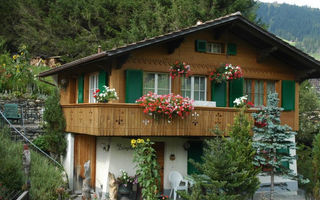 Náhled objektu Bärgchutzli Parterre, Adelboden