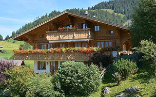 Náhled objektu Alegria (Parterre), Gstaad