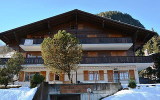 Náhled objektu Eggli (Parterre), Saanen