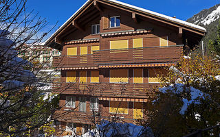 Náhled objektu Schoneggacher, Wengen