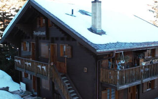 Náhled objektu Bärgblüemli 1. OG Ost Studio, Dusche oder Bad, WC 1 1/2 Zimmerwohnung, 2-Betten, Bettmeralp