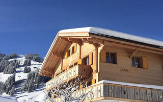 Náhled objektu Butterfly Appartement/Fewo, Bad, WC, 3 Schlafräume 4-Zimmerwohnung, Adelboden
