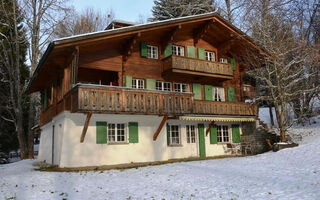 Náhled objektu Les Erables, Chalet Appartement/Fewo, Dusche oder Bad, WC 7-Bettwohnung, Gstaad