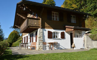 Náhled objektu La Ruche, Chalet Appartement/Fewo, Dusche oder Bad, WC 9-Bettwohnung, Gstaad