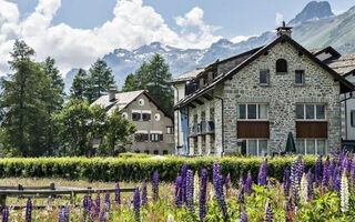 Náhled objektu Residenz Soliva App. Viola, Sils Maria