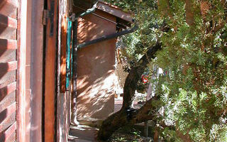 Náhled objektu Panoramica, Monte Argentario