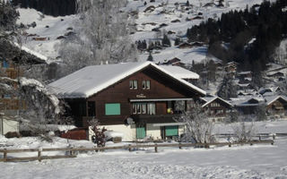 Náhled objektu Fankhauser, Lenk im Simmental