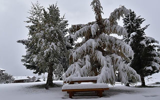 Náhled objektu Südlenz 22, Riederalp