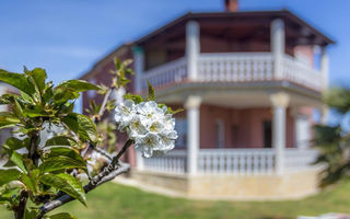 Náhled objektu House Niki, Pula