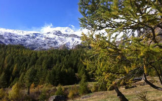 Náhled objektu Mikado, Saas - Fee