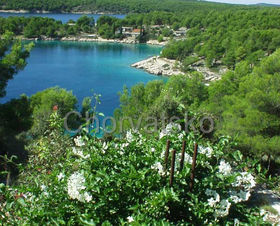 Apartmán Julija