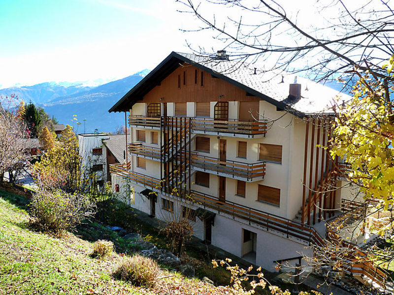 Panorama Ii 1
